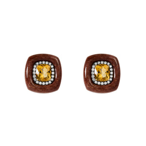 Earrings Frame